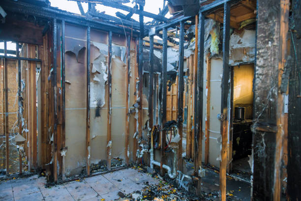 Professional Soot Cleanup technician working in Loxahatchee Groves, FL